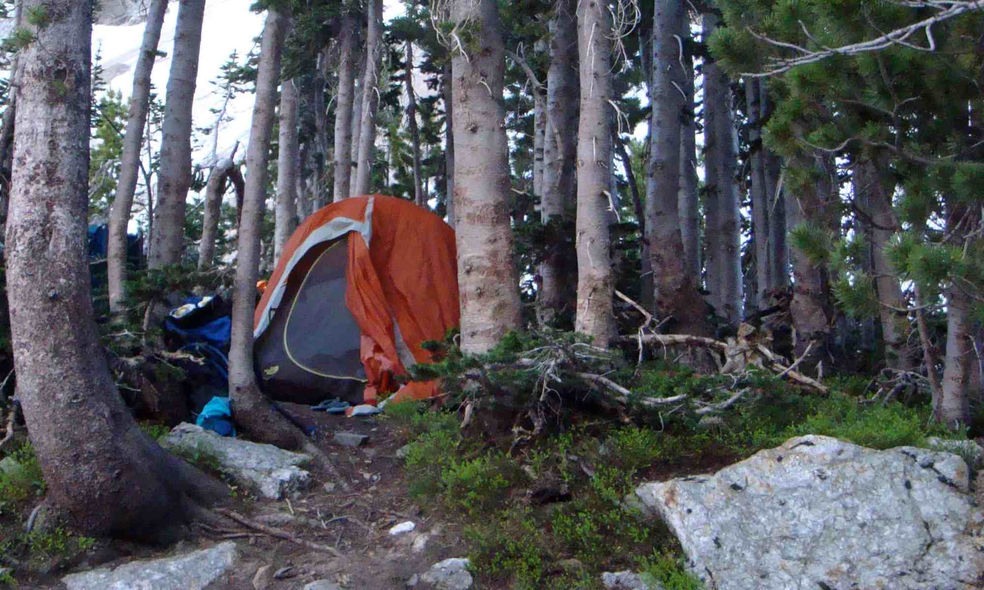 Summer Camping Near St. Louis, Missouri Alpine Shop Blog