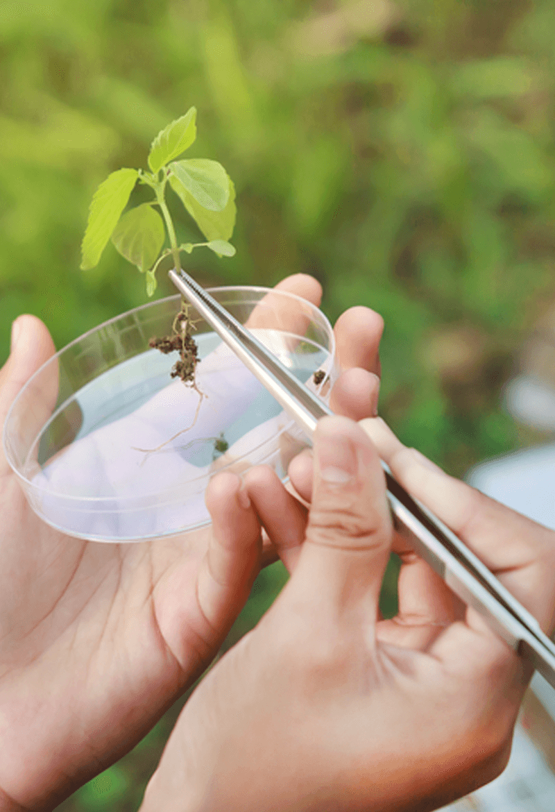 Ganz unabhängig von den änderungen im hormonhaushalt kann dieser lebensabschnitt für viele frauen mit unruhe, . Definition Soja-Isoflavone - Alsifemin