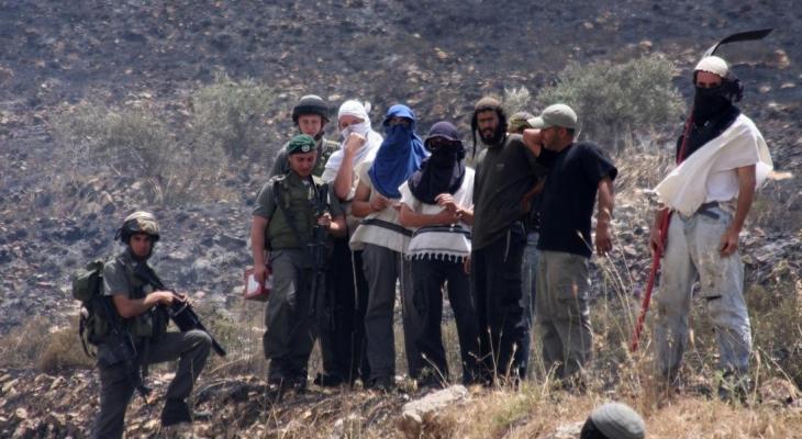 158 اعتداءً &ldquo;إسرائيلياً&rdquo; منذ بداية موسم قطف الزيتون في الضفة الغربية