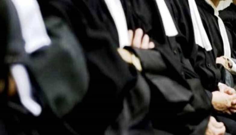 حضور وازن للمحامين في مجلس النواب
