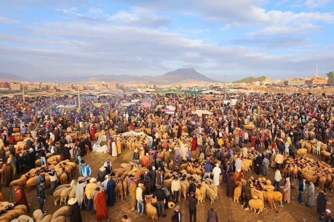 السلطات تستمر في منع بيع الأغنام تنفيذاً لقرار إلغاء عيد الأضحى