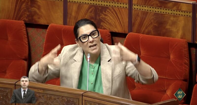 المنصوري: تسهيلات البناء بالعالم القروي رفعت عدد المستفيدين إلى 1.8 مليون نسمة