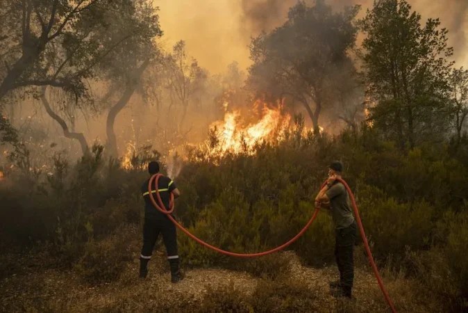 خبراء يوضحون مدى جاهزية المغرب في مواجهة حرائق الغابات خلال الصيف