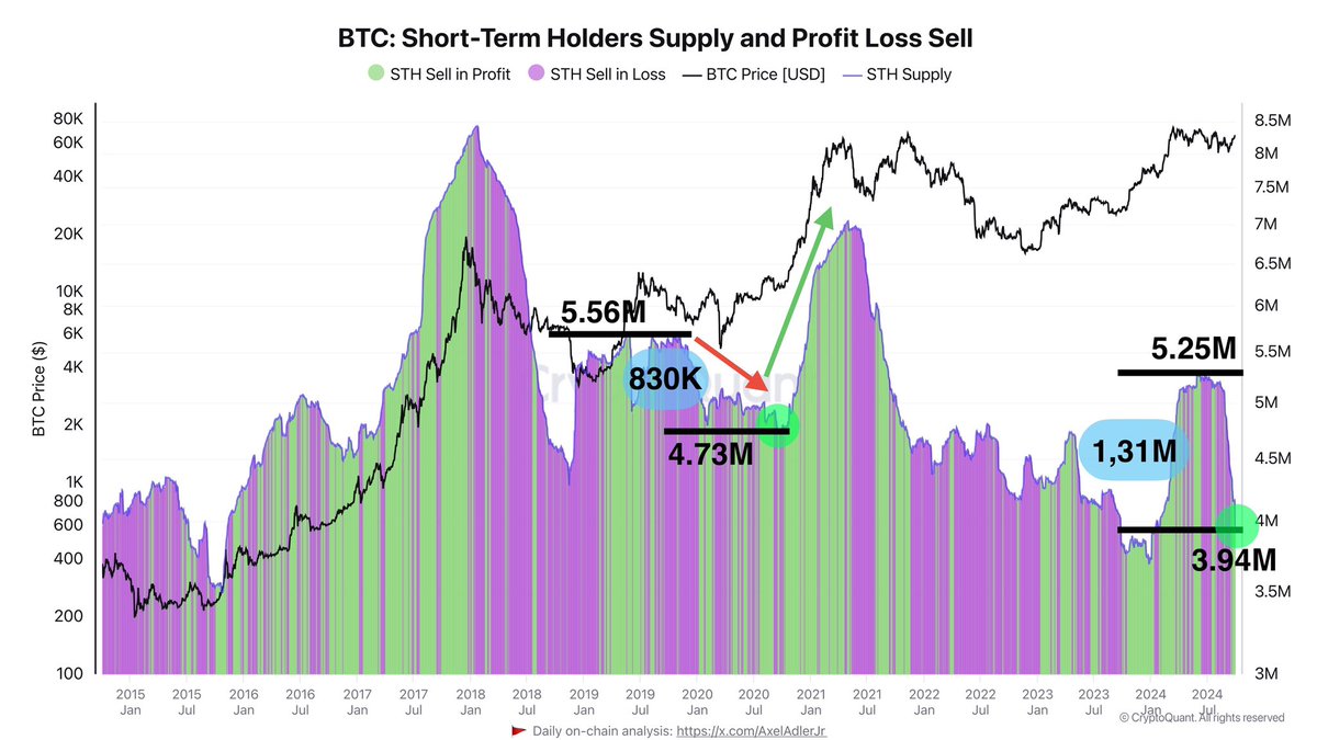 Bitcoin holders metric