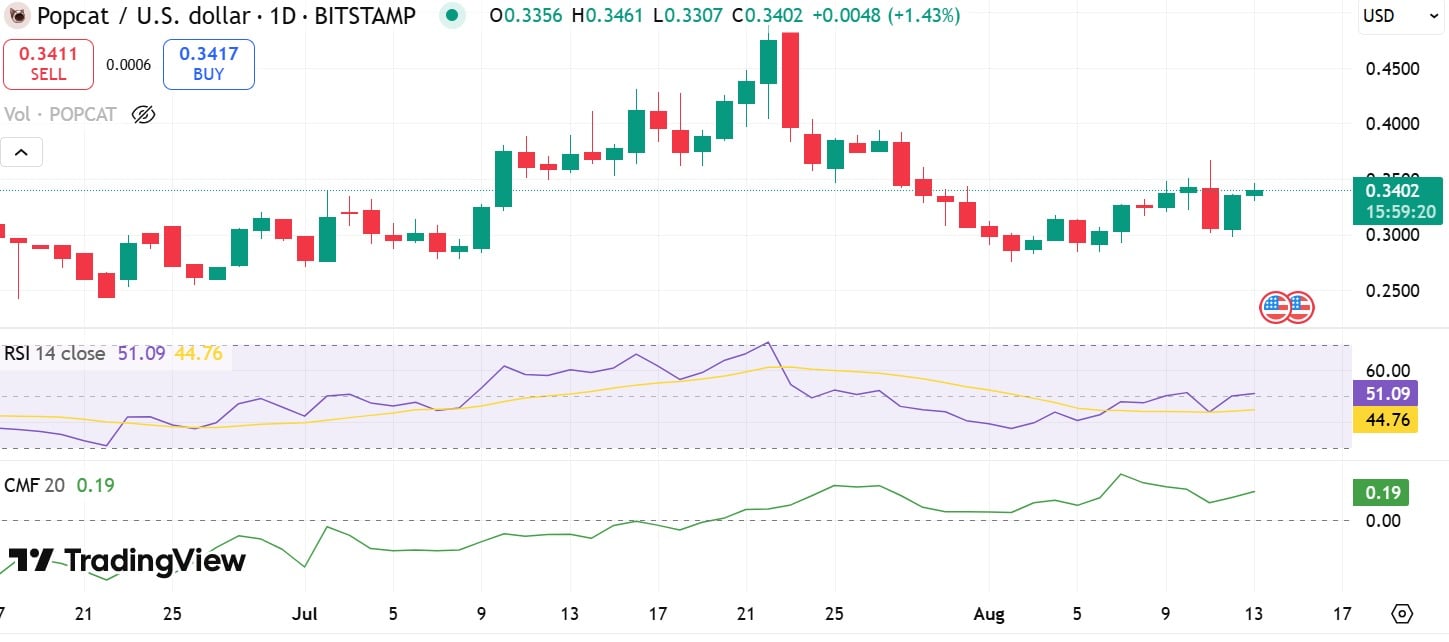 Popcat CMF and RSI
