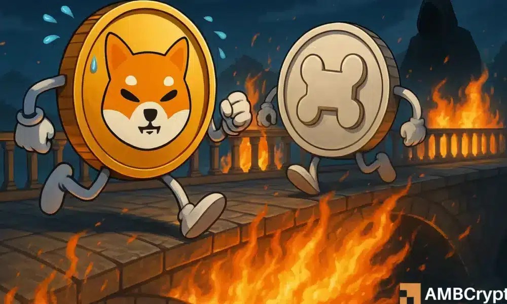 ‘We are aware…’: Shiba Inu team responds after $2.4 mln Shibarium bridge attack
