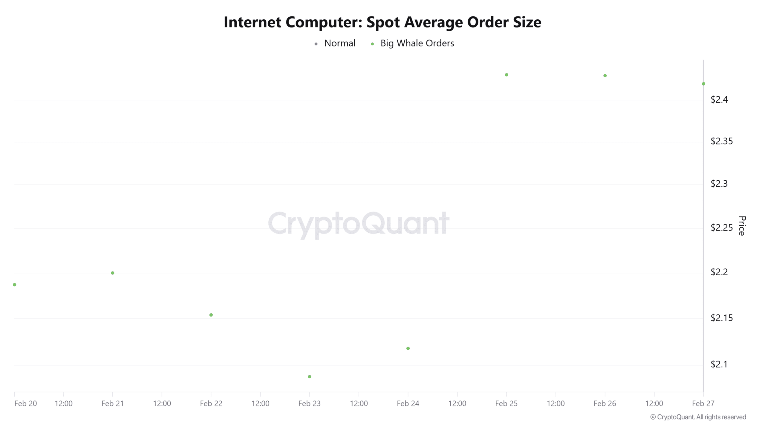 Internet computer Spot average order size