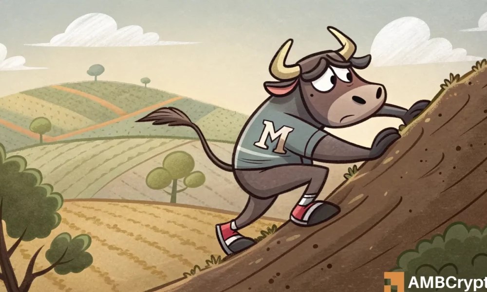 Memecore [M] fades from $1.60 peak – But THESE 2 metrics suggest…