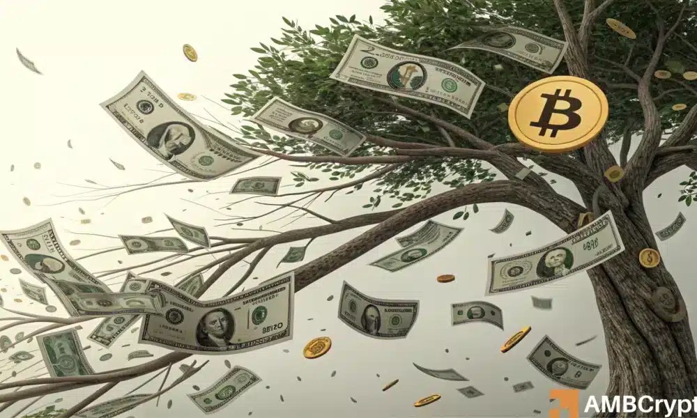 Fed’s March rate cut could push the U.S. dollar down 10% – Is crypto at risk?