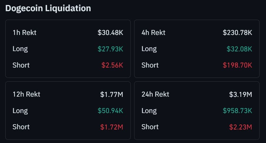 Dogecoin liquidation