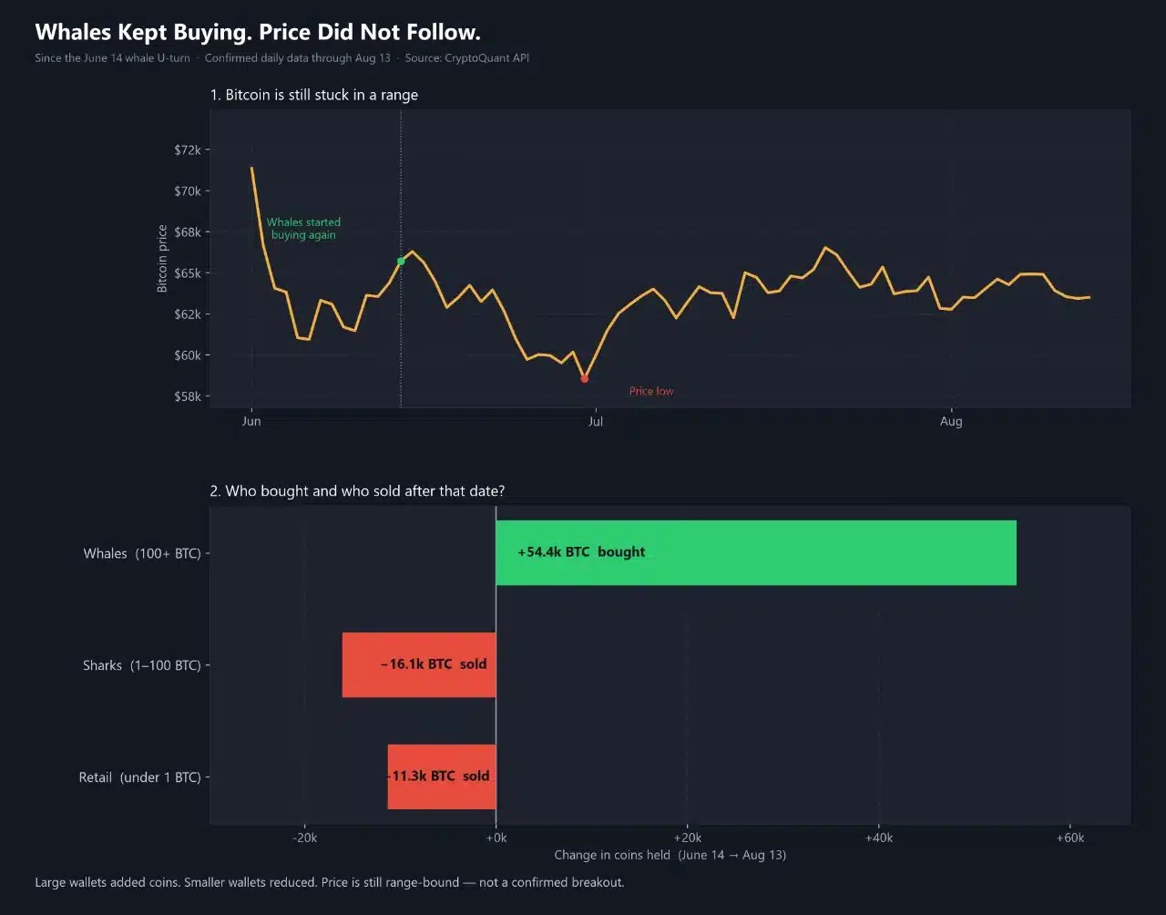 Bitcoin Whale Buying