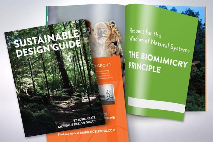 Sustainable Campaign Landing Ambience Design Group