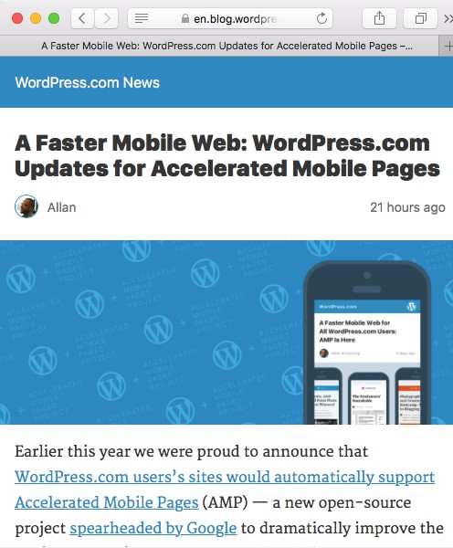 Dat betekent dat allerlei designelementen in je . Amp And Wordpress