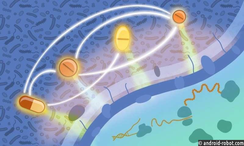 Борьба с устойчивостью к противомикробным препаратам с помощью новых комбинаций препаратов