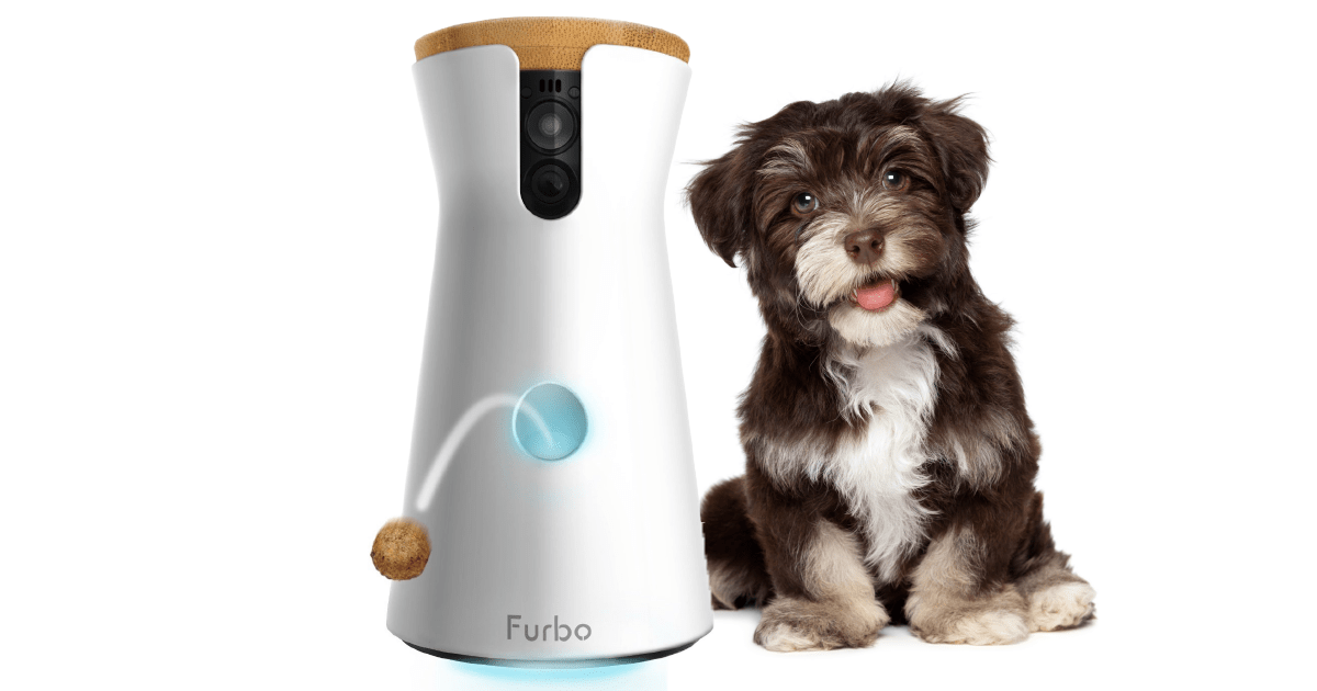 Furbo Dog Camera Moderne Hundeüberwachung Androidmag