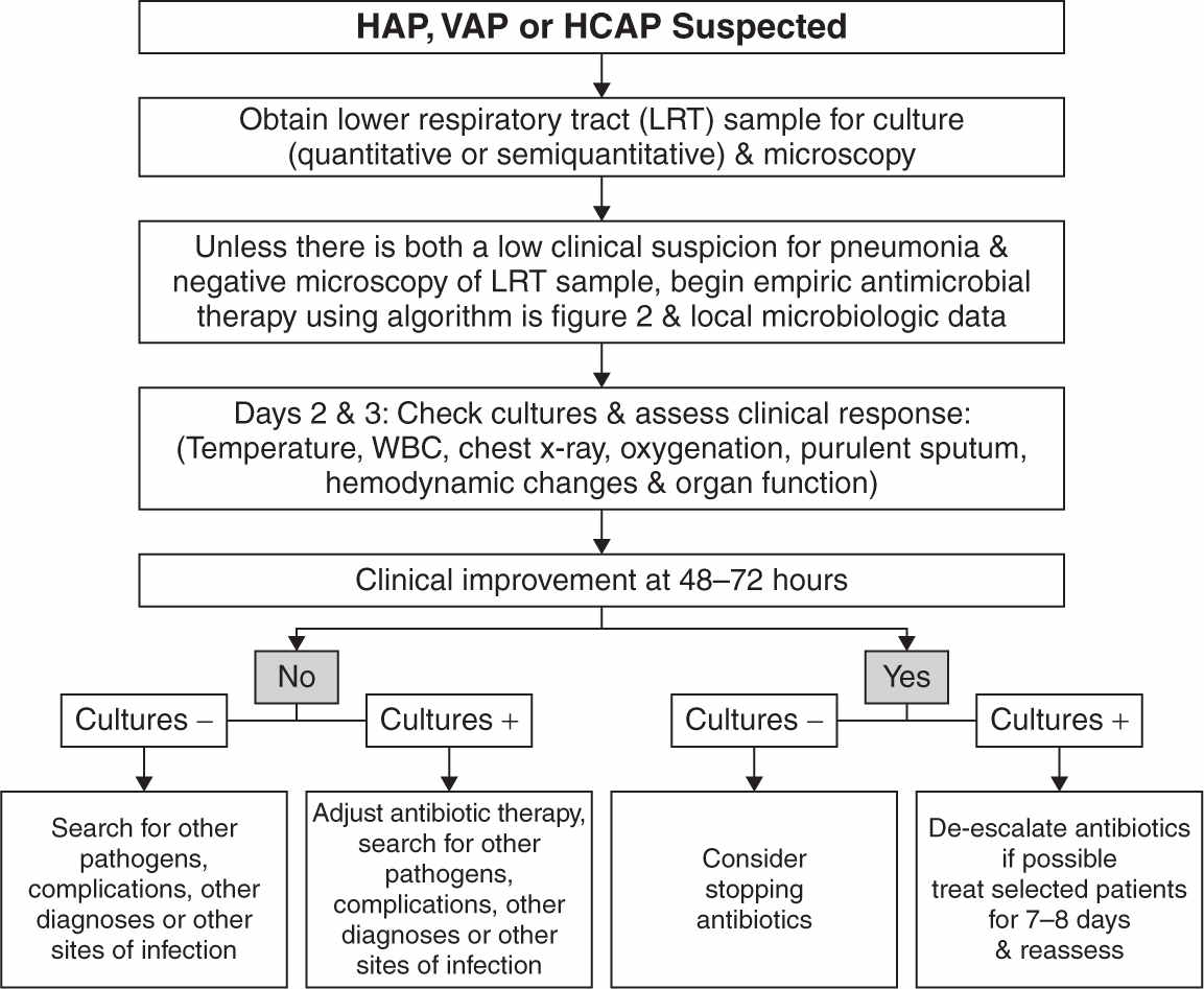 Infectious Diseases—Empiric and Emergency Treatment Anesthesia Key