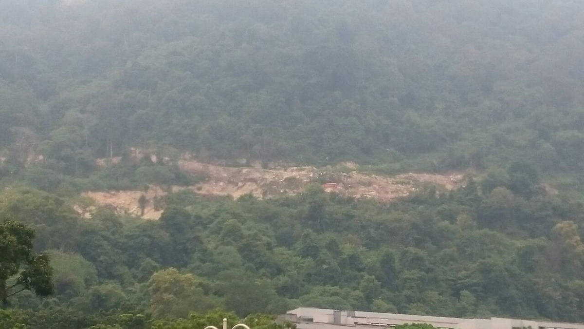 Extensive clearings scar Paya Terubong hills