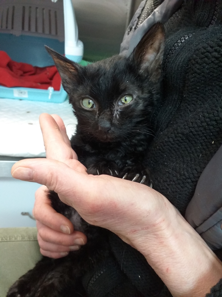 Toujours dans nos cœurs… | AnimaCoeur