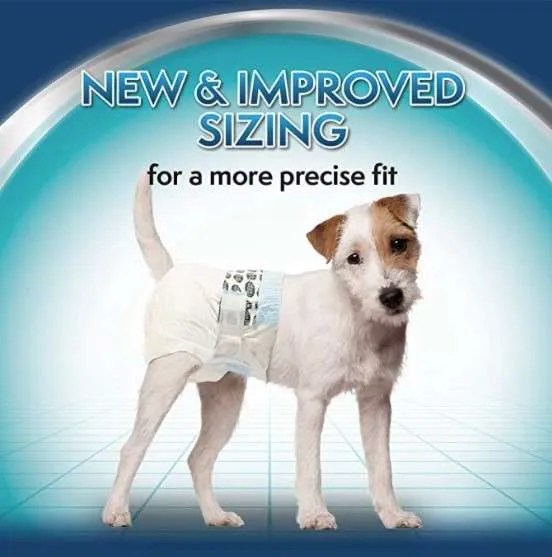 simple solution dog diapers large