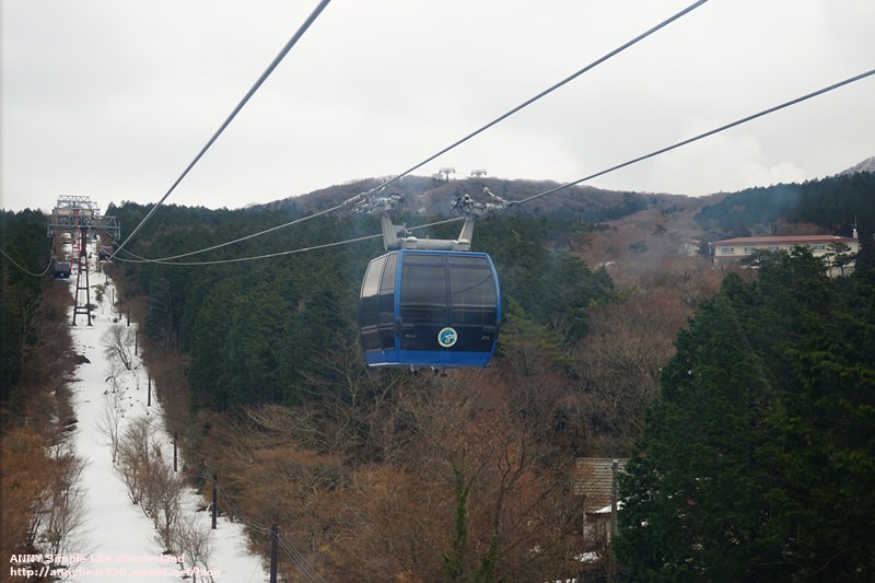 【日本】持箱根周遊券 搭箱根空中纜車 ♥ 姥子到桃源台 (遺珠大湧谷)