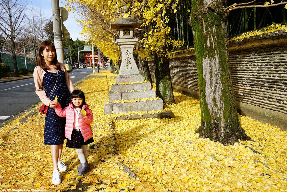 【京阪自由行】免費京都銀杏景點推薦 ♥ 今宮神社前 銀杏大道
