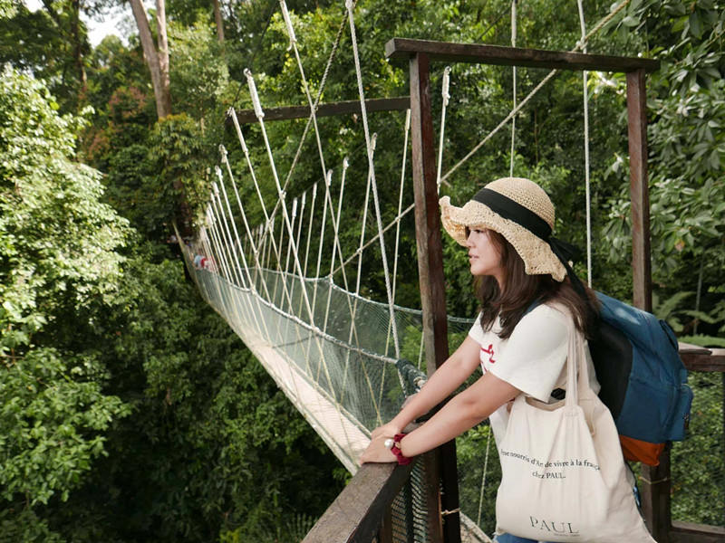 馬來西亞沙巴旅遊推薦 | 神山市集部落、高山奶牛場、神山國家公園溫泉區、神山原始溪流餵鯉魚。