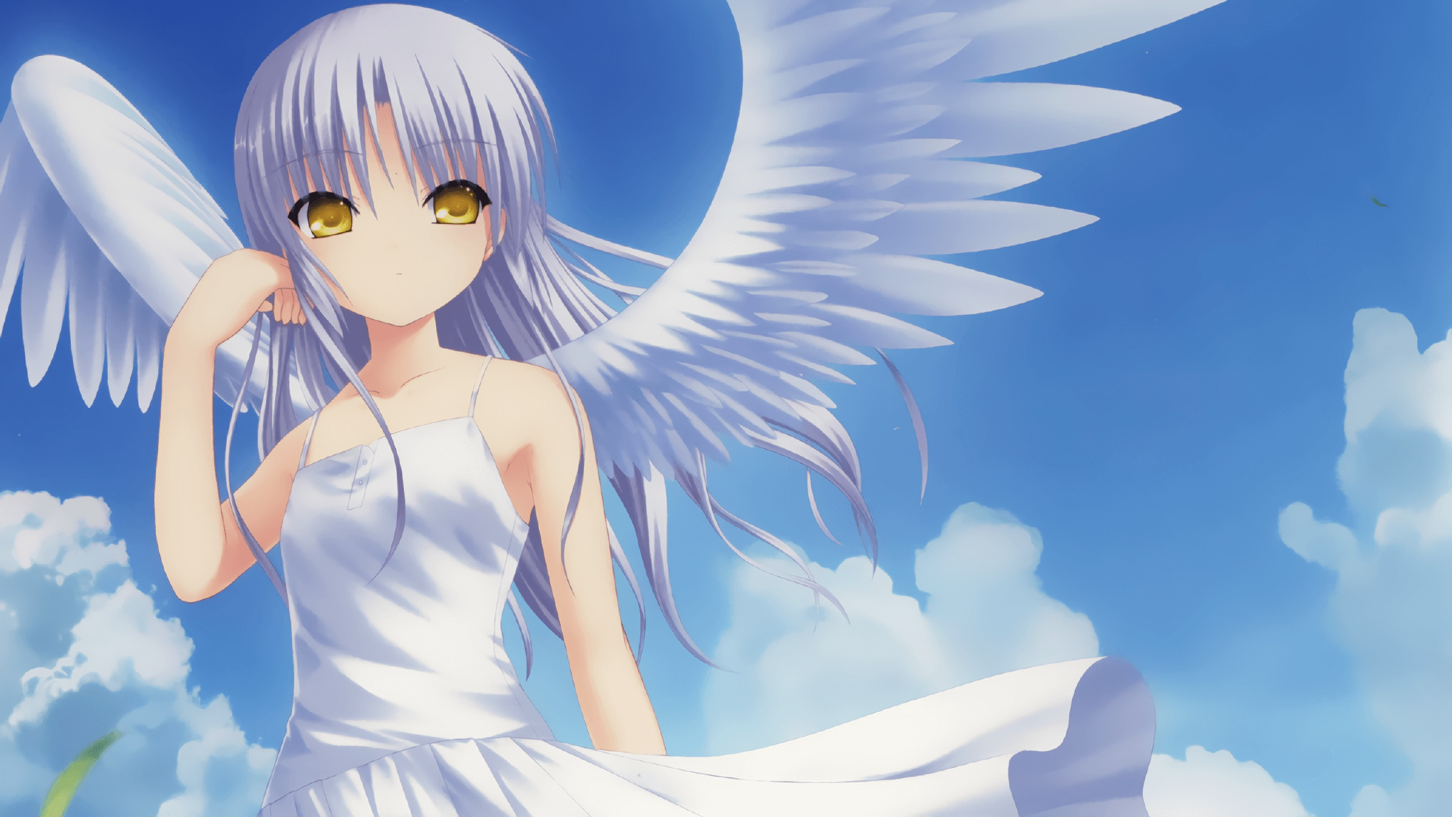 ewomail安装（仅限centos7/8）