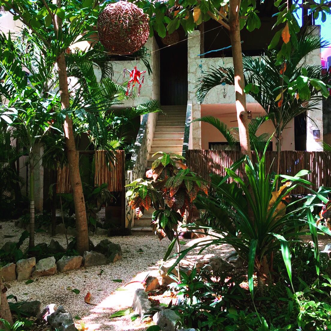 The refrigerator should be kept at or below 40 °f (4 °c) and the freezer should be. TULUM Town Apartment , centrally located. Walk to cafes