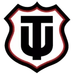 Técnico Universitario