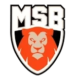 Le Mans Sarthe Basket