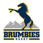 Brumbies