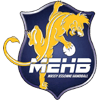 Massy Essonne Handball