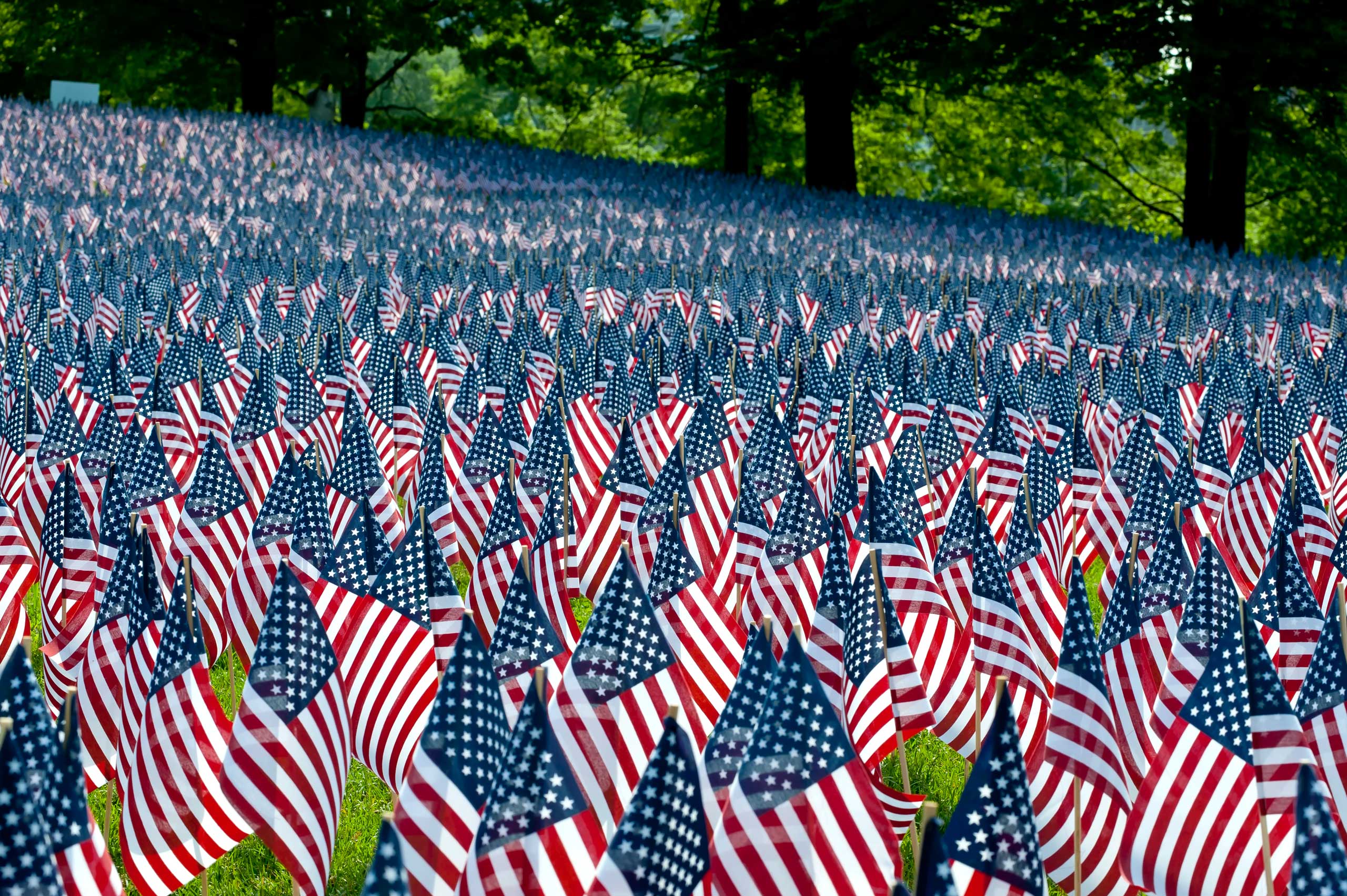 Memorial Day : 7 Interesting Facts About Memorial Day Time