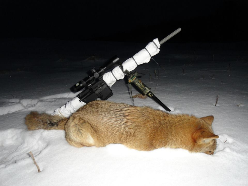 Here Are 7 Animals Hunters Kill Using An Ar 15 Time