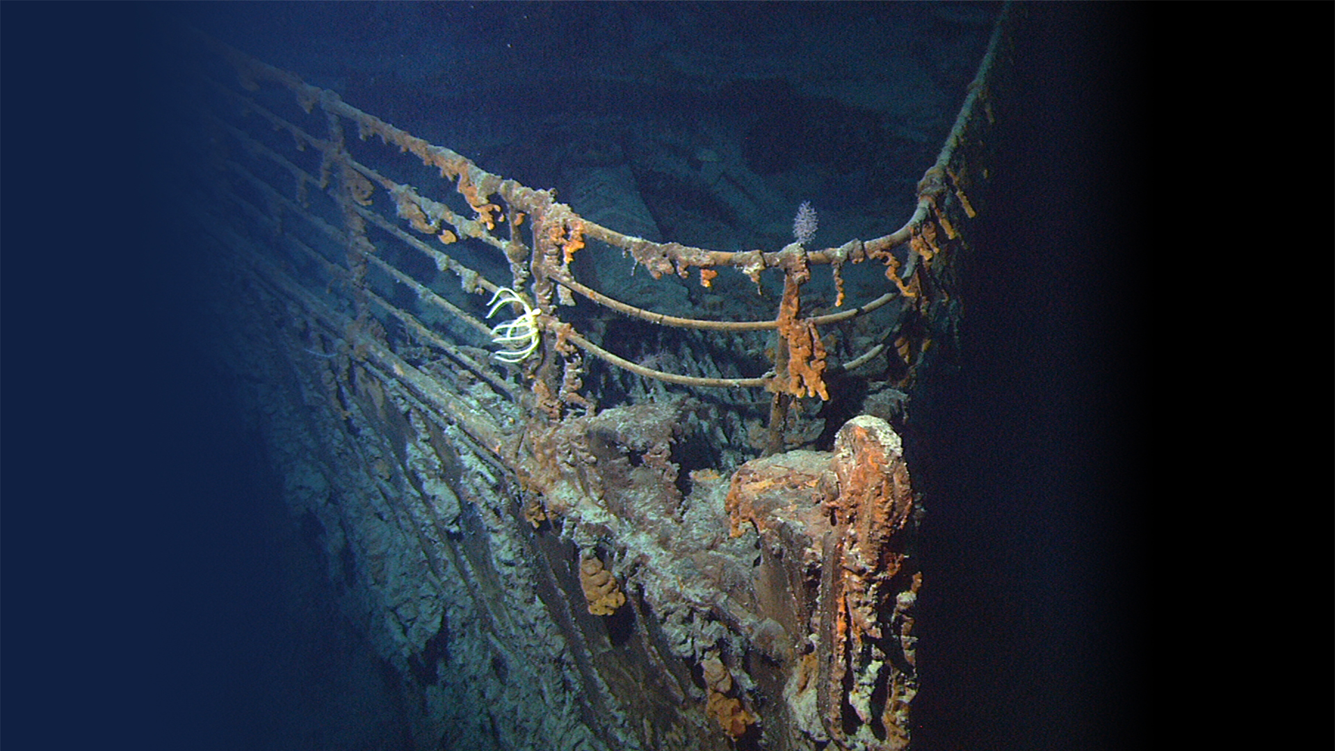 See more ideas about titanic, rms titanic, titanic history. New Footage Of The Titanic Has Some Experts Predicting The Shipwreck Might Have About 30 Years Left Time