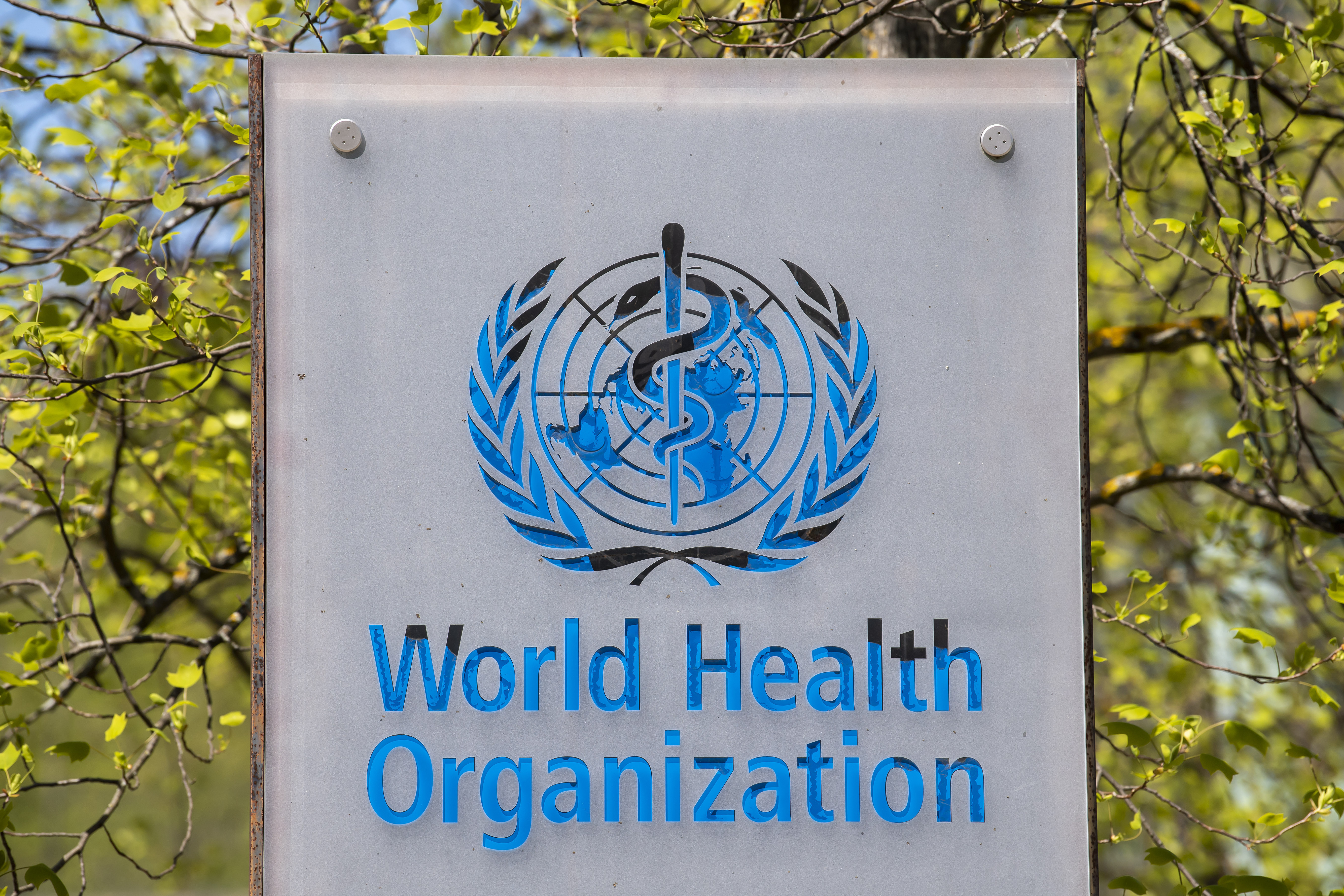 WHO declares the Mpox outbreaks in Africa a global health emergency