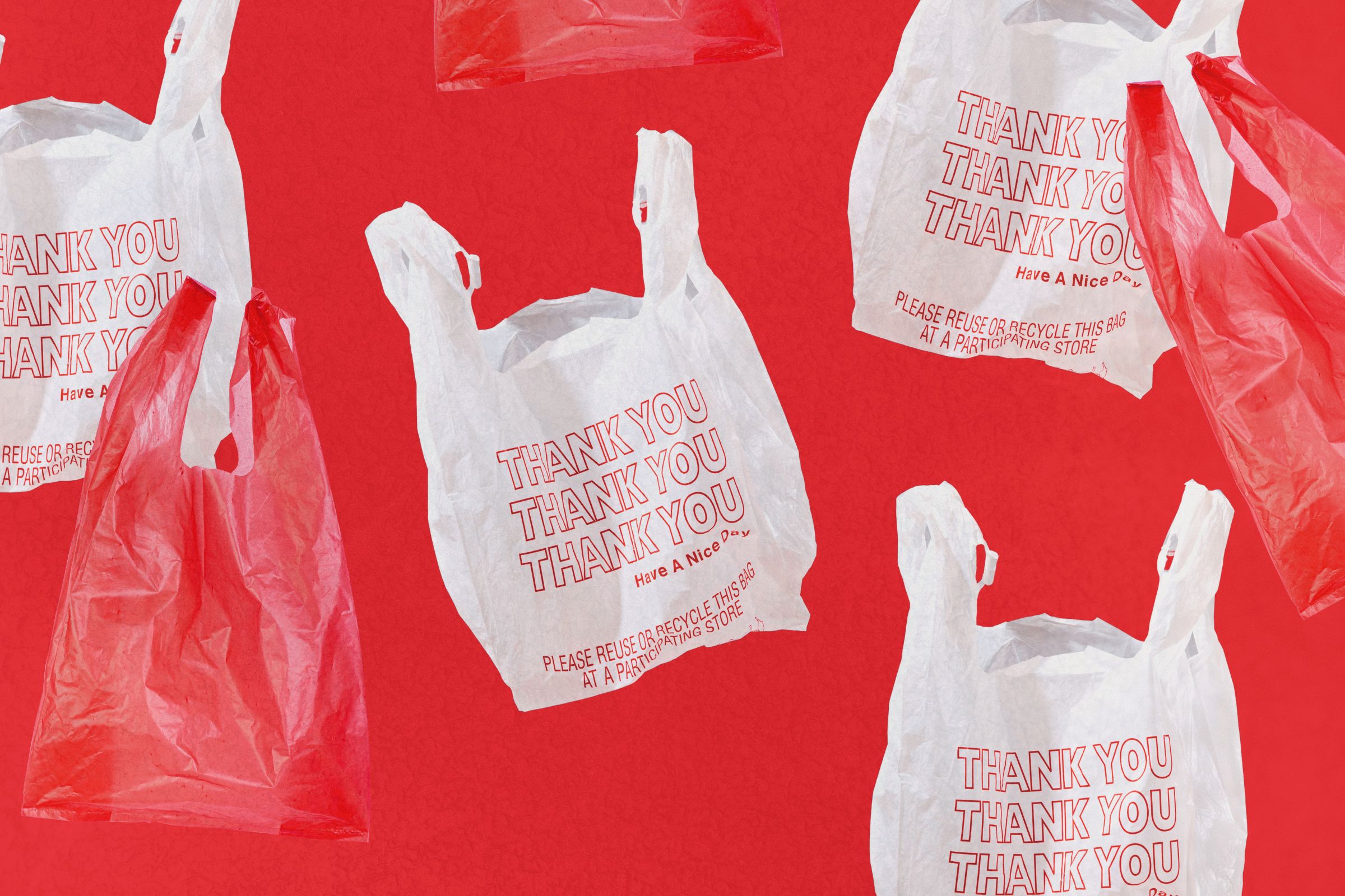 Do Plastic Bag Bans Actually Work?