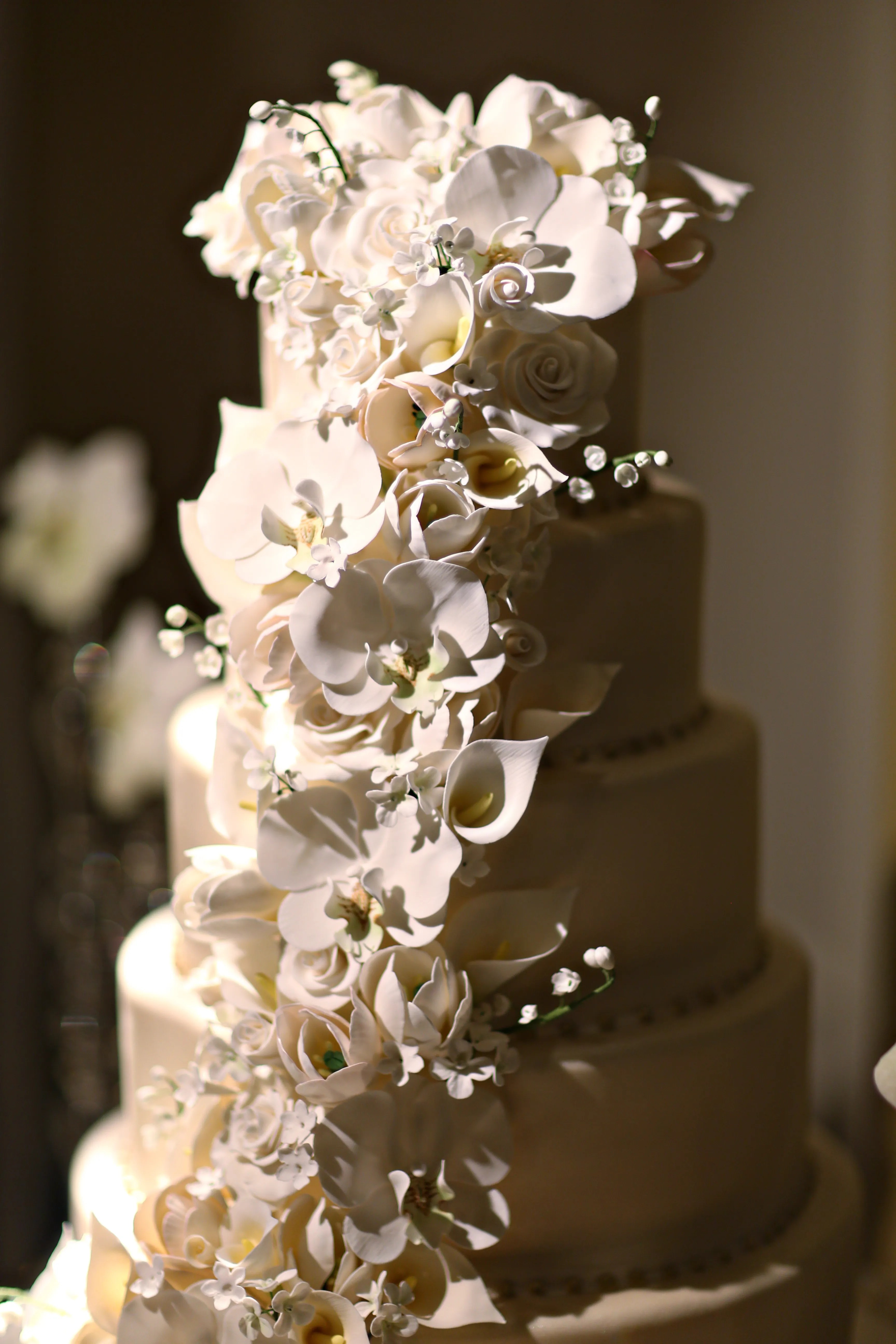 49+ Elegant Kays Jewelers Wedding Rings / Love Bird Cake Toppers : When it comes to the quality of the diamonds and engagement rings sold by kay jewelers, they do not meet the mark of online jewelers and many .