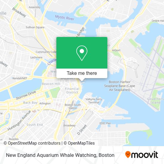 New england aquarium whale watches leave conveniently right from central wharf. How To Get To New England Aquarium Whale Watching In Boston By Subway Bus Or Train