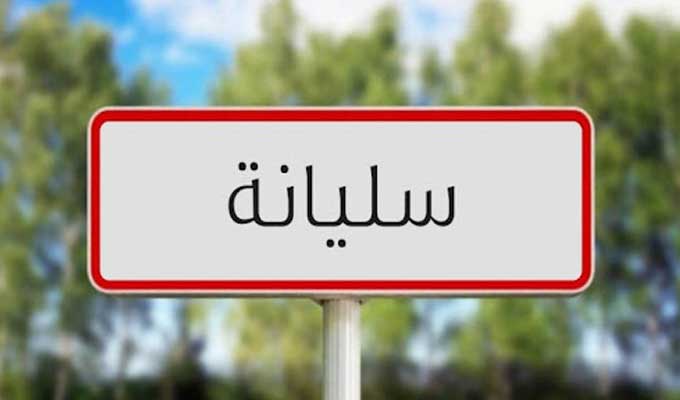 سليانة: تقدم نسبة جهر المياه الاسمنتية والمنشأت المائية وتنظيف الطرقات بنسبة 85 بالمائة
