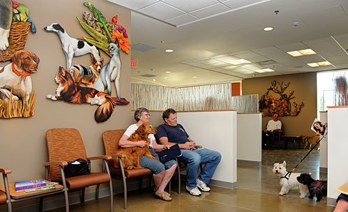 17+ Awesome See Through Chairs / Worth a trip to the doctor | Inside Iowa State - Get ultimate comfort for those long hours behind the screen.