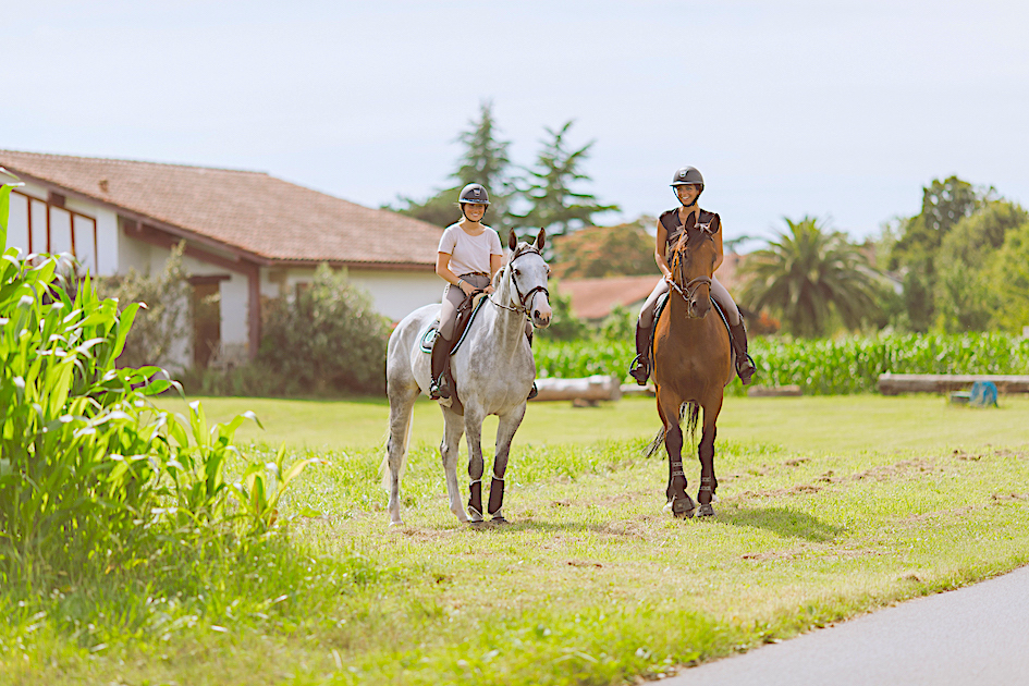 La Maison Forestier Et Son Job De Reve Presselib