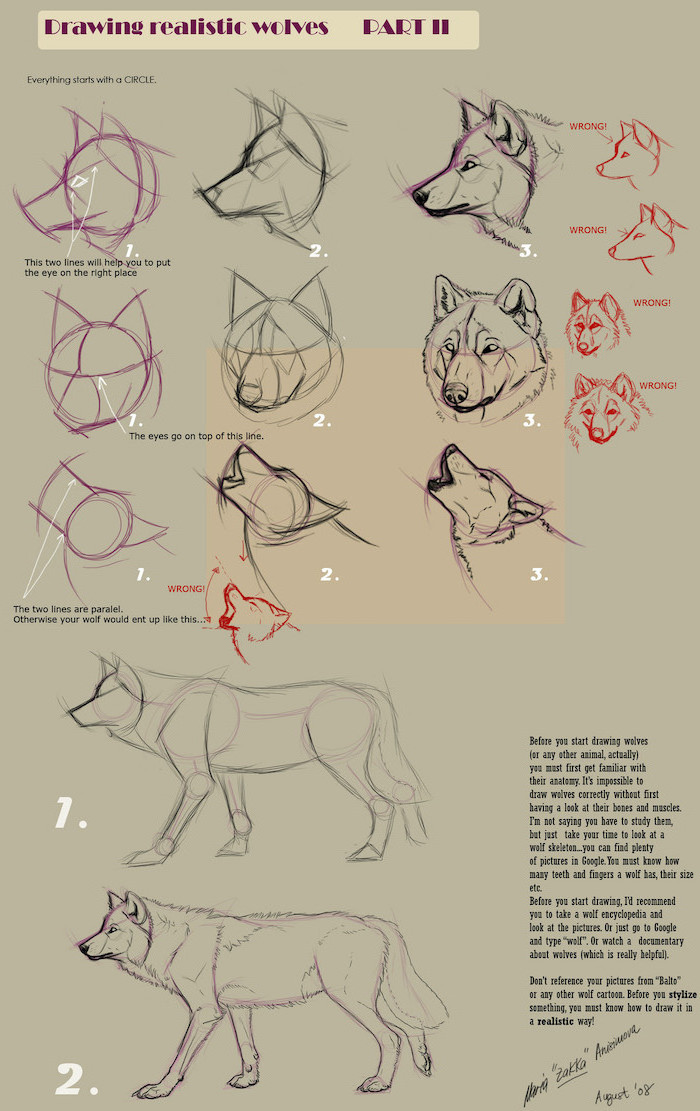 Realistic Animal Drawings Step By Step / How To Draw