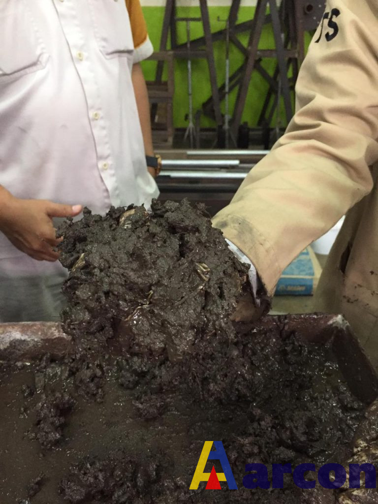 Kondisi tanaman yang tidak tegak (doyong) yang sering ditemukan di lahan gambut merupakan indikasi rendahnya daya menahan beban tanah gambut (gambar 5). Berkenalan Dengan Tanah Gambut Pt Arcon Radian Abadi