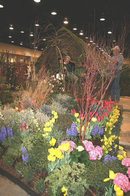 2008 Spring Flowers