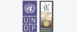 UNDP-logo