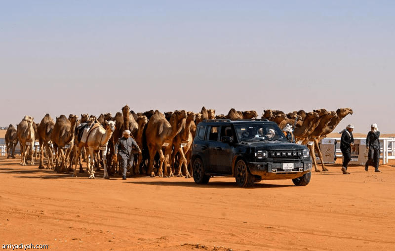 &laquo;الشعل&raquo; تتصدر قائمة الصفقات الأعلى في مهرجان الإبل