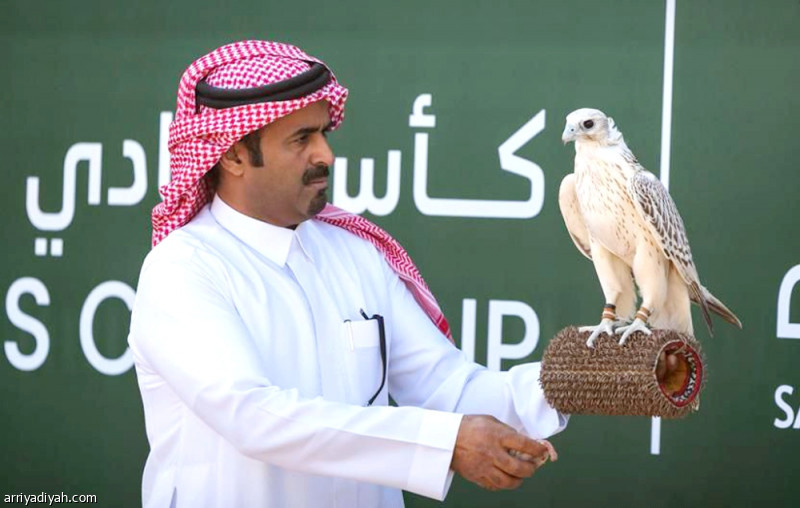 &laquo;كأس الصقور&raquo;..6 أشواط و&laquo;خطير&raquo; الأسرع