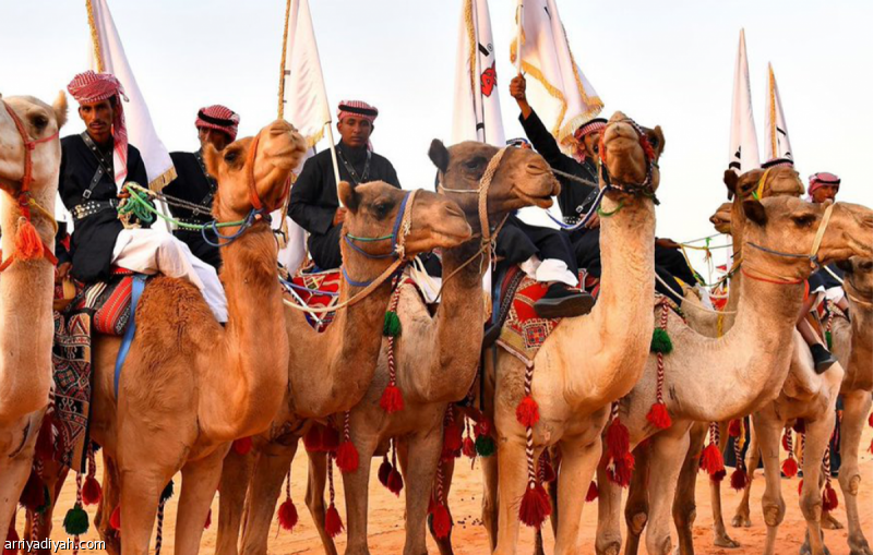 دراسة استحداث بيارق جديدة في مهرجان الملك عبد العزيز للإبل