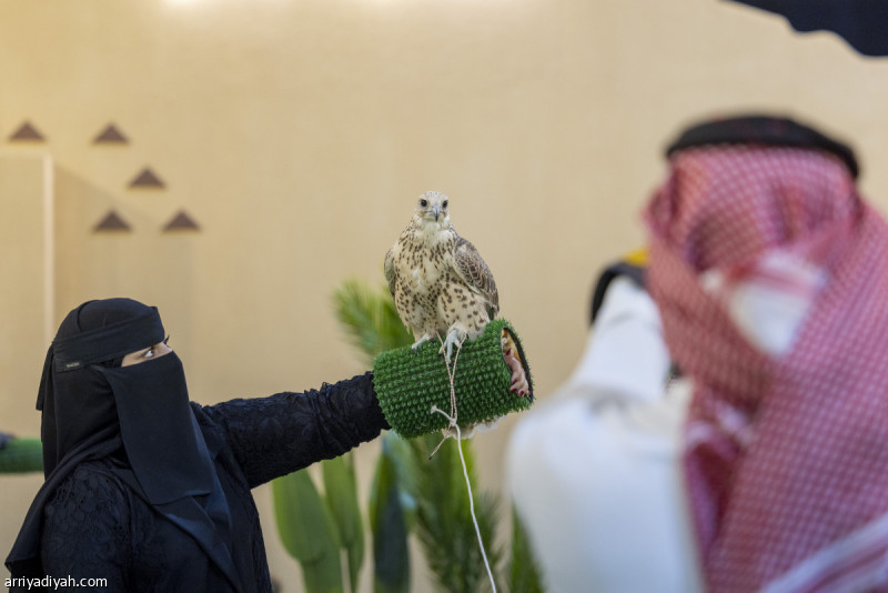 &laquo;الصقور والصيد&raquo; يتيح للزوار تجربة حمل ومناداة الطير